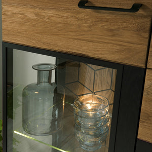 LoftStory Eikenhouten vitrinekast Scandinavisch industrieel ontwerp